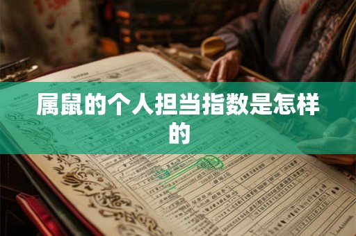 属鼠的个人担当指数是怎样的