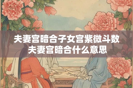 夫妻宫暗合子女宫紫微斗数 夫妻宫暗合什么意思