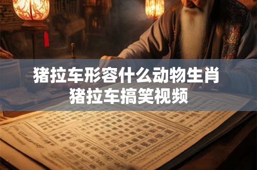 猪拉车形容什么动物生肖 猪拉车搞笑视频