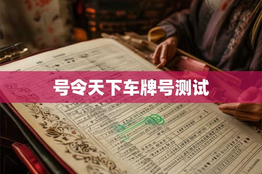 号令天下车牌号测试