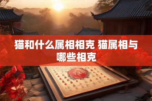 猫和什么属相相克 猫属相与哪些相克