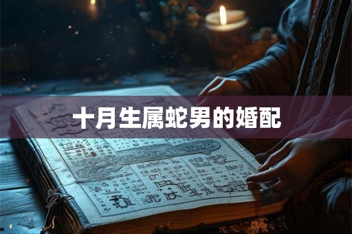 十月生属蛇男的婚配
