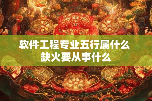 软件工程专业五行属什么 缺火要从事什么
