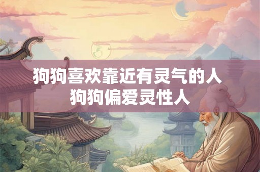 狗狗喜欢靠近有灵气的人 狗狗偏爱灵性人