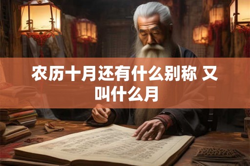 农历十月还有什么别称 又叫什么月 农历十月还有什么别称 又叫什么月