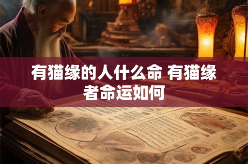 有猫缘的人什么命 有猫缘者命运如何 有猫缘的人什么命 有猫缘者命运如何