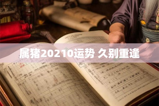 属猪20210运势 久别重逢