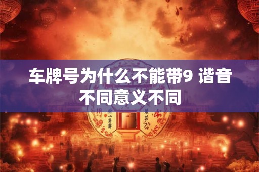 车牌号为什么不能带9 谐音不同意义不同