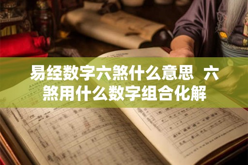 易经数字六煞什么意思  六煞用什么数字组合化解