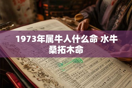 1973年属牛人什么命 水牛桑拓木命 1973年属牛人什么命 水牛桑拓木命