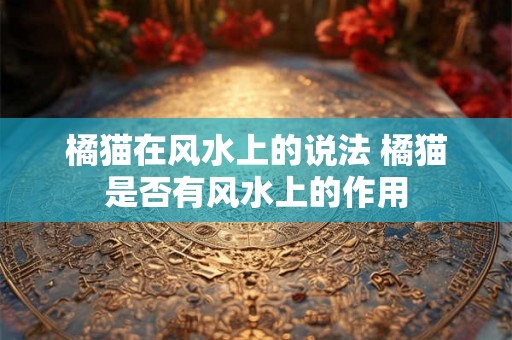 橘猫在风水上的说法 橘猫是否有风水上的作用