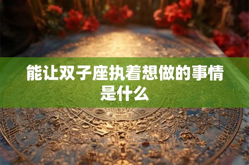 能让双子座执着想做的事情是什么