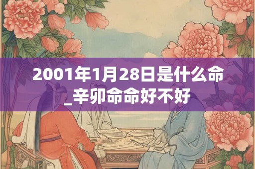 2001年1月28日是什么命_辛卯命命好不好 2001年1月28日是什么命_辛卯命命好不好