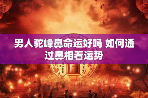 男人驼峰鼻命运好吗 如何通过鼻相看运势