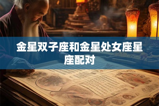 金星双子座和金星处女座星座配对