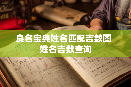 良名宝典姓名匹配吉数图  姓名吉数查询