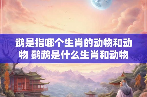 鹉是指哪个生肖的动物和动物 鹦鹉是什么生肖和动物 鹉是指哪个生肖的动物和动物 鹦鹉是什么生肖和动物