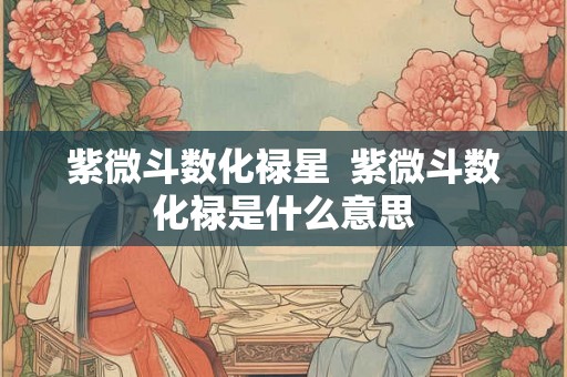 紫微斗数化禄星  紫微斗数化禄是什么意思