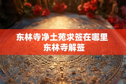 东林寺净土苑求签在哪里  东林寺解签