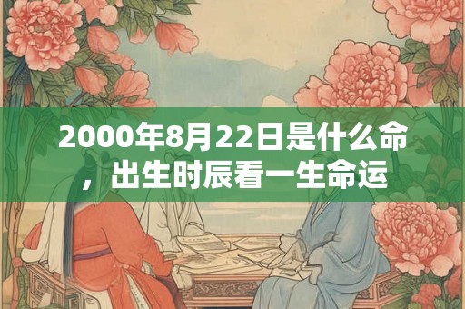2000年8月22日是什么命，出生时辰看一生命运