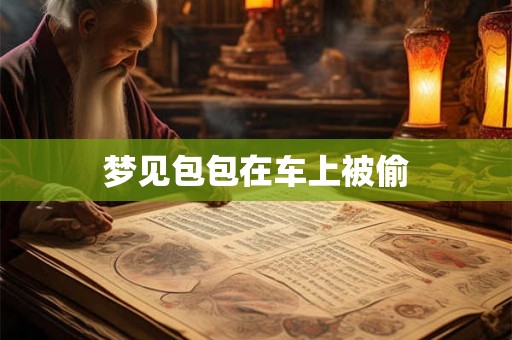梦见包包在车上被偷