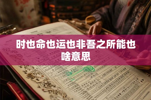 时也命也运也非吾之所能也啥意思