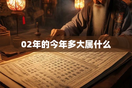 02年的今年多大属什么