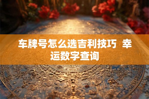 车牌号怎么选吉利技巧  幸运数字查询
