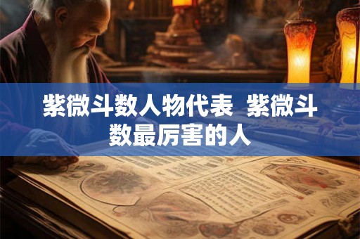 紫微斗数人物代表  紫微斗数最厉害的人