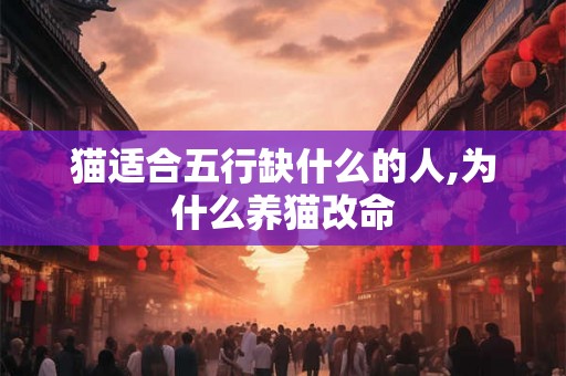 猫适合五行缺什么的人,为什么养猫改命