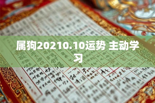 属狗20210.10运势 主动学习