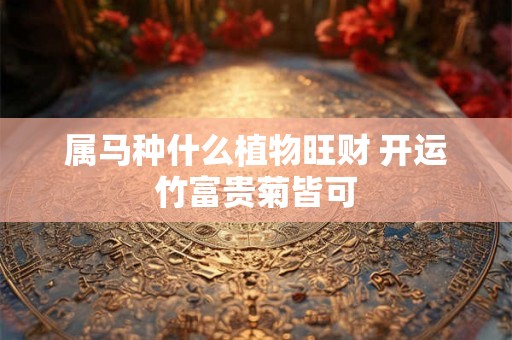 属马种什么植物旺财 开运竹富贵菊皆可