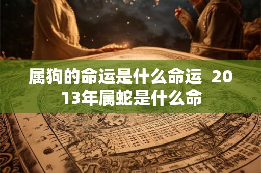 属狗的命运是什么命运  2013年属蛇是什么命