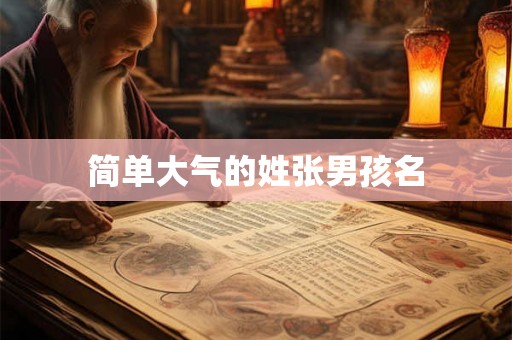 简单大气的姓张男孩名