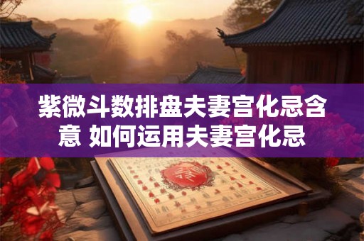 紫微斗数排盘夫妻宫化忌含意 如何运用夫妻宫化忌