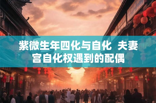 紫微生年四化与自化 夫妻宫自化权遇到的配偶 紫微生年四化与自化 夫妻宫自化权遇到的配偶