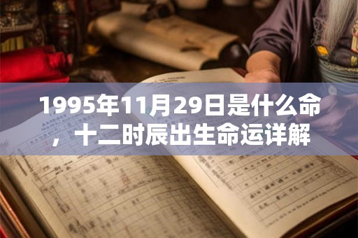 1995年11月29日是什么命，十二时辰出生命运详解