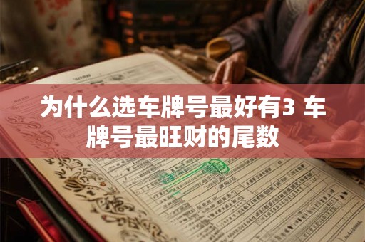 为什么选车牌号最好有3 车牌号最旺财的尾数