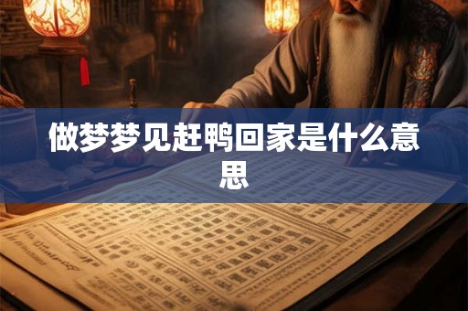 做梦梦见赶鸭回家是什么意思