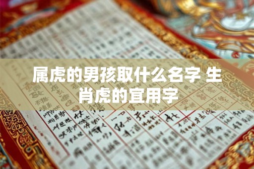 属虎的男孩取什么名字 生肖虎的宜用字