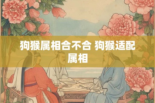 狗猴属相合不合 狗猴适配属相