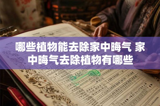 哪些植物能去除家中晦气 家中晦气去除植物有哪些