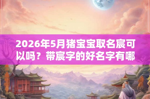 2026年5月猪宝宝取名宸可以吗？带宸字的好名字有哪些？