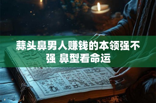 蒜头鼻男人赚钱的本领强不强 鼻型看命运 蒜头鼻男人赚钱的本领强不强 鼻型看命运