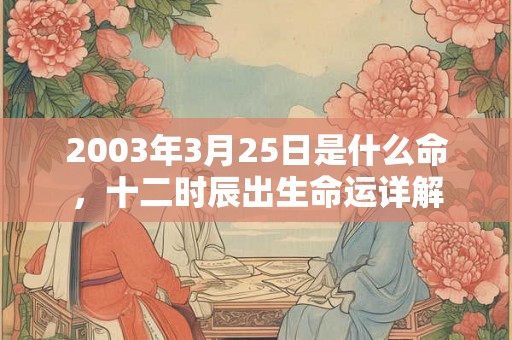 2003年3月25日是什么命，十二时辰出生命运详解