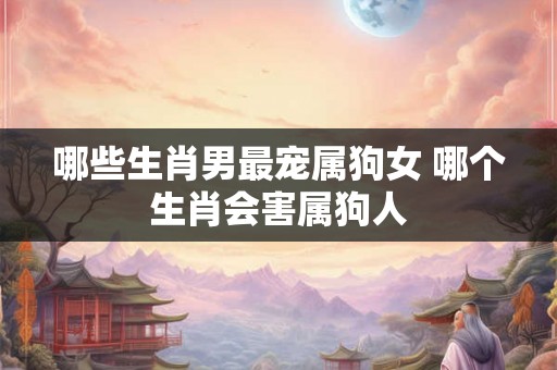 哪些生肖男最宠属狗女 哪个生肖会害属狗人 哪些生肖男最宠属狗女 哪个生肖会害属狗人