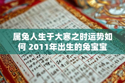 属兔人生于大寒之时运势如何 2011年出生的兔宝宝