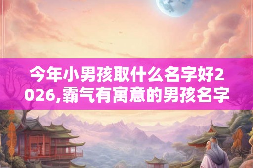 今年小男孩取什么名字好2026,霸气有寓意的男孩名字