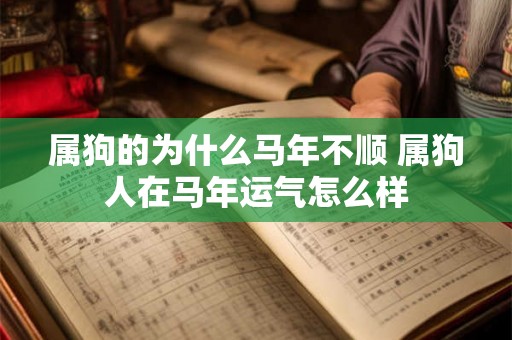 属狗的为什么马年不顺 属狗人在马年运气怎么样