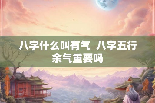 八字什么叫有气  八字五行余气重要吗